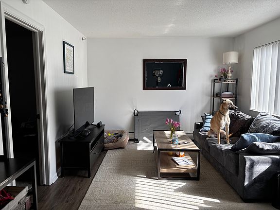3rd image of 207 W Mosley St #6