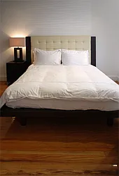 Rented by WAM Partners - William Moses Co.