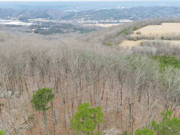 Dogtown Rd SE, Fort Payne, AL 35967