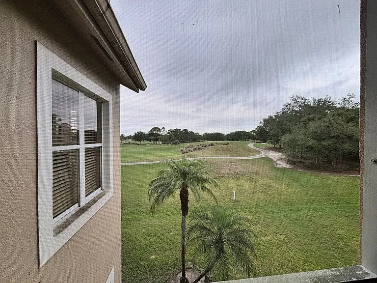 Window View