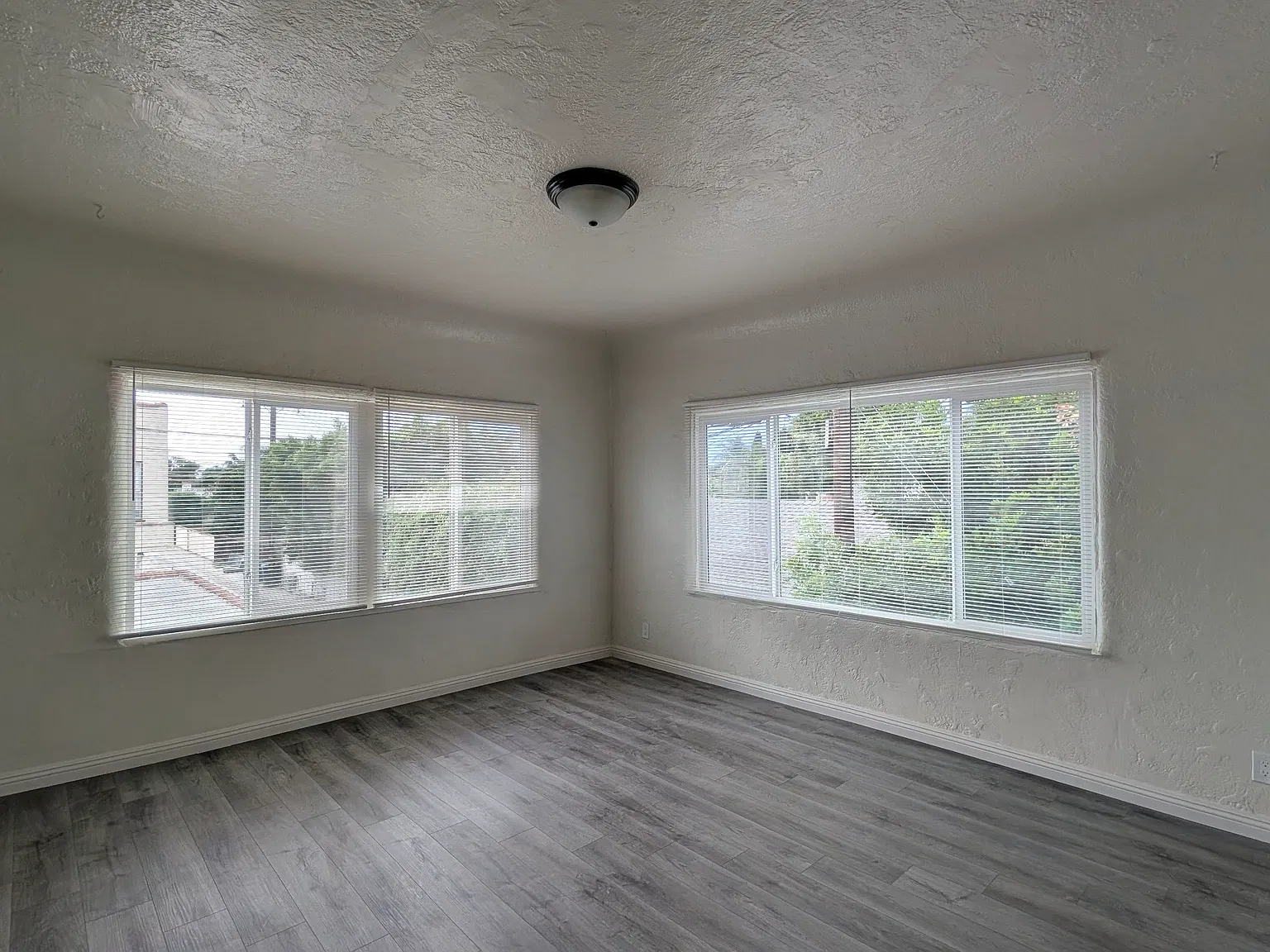 Studio, $1,600 — Photo 2