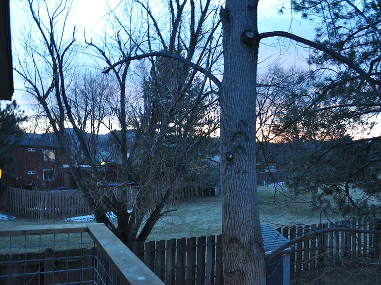 4426 Driftwood Pl — Photo 17
