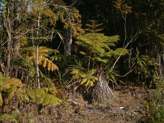 4th image of 73-2120 Kaloko Dr