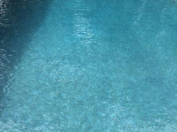 Enjoy your own screened and in-ground pool with privacy fence.
