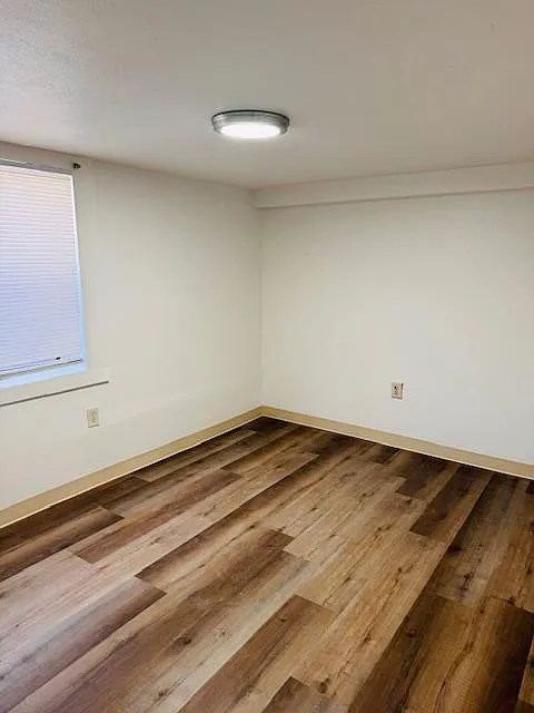 1 bed, $895 — Photo 3