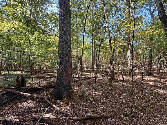 2nd image of Reed Rd