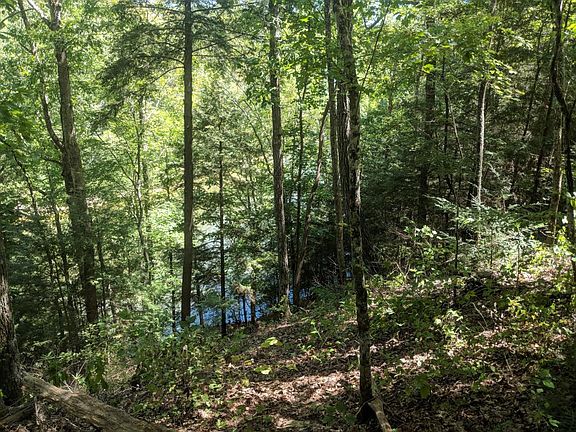 Typical scenic views of Sipsey River below.
