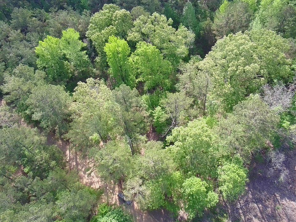 1st image of New Light Rd