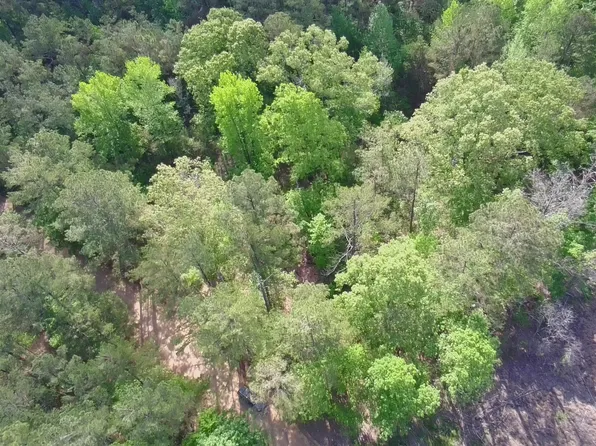 New Light Rd, Sturgis, MS 39769