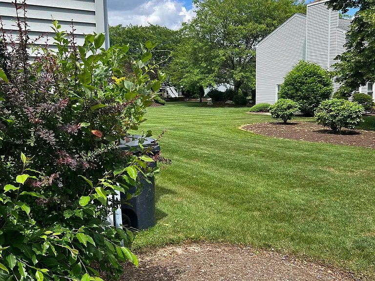 Open back yard beautiful views