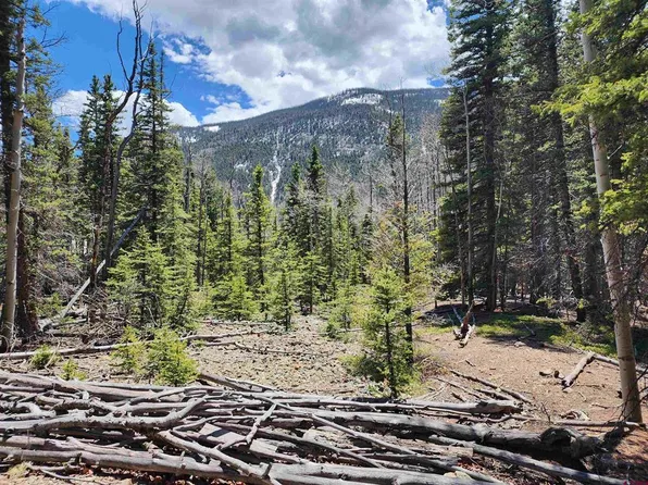 842 Elk Street, Jasper, CO 81144