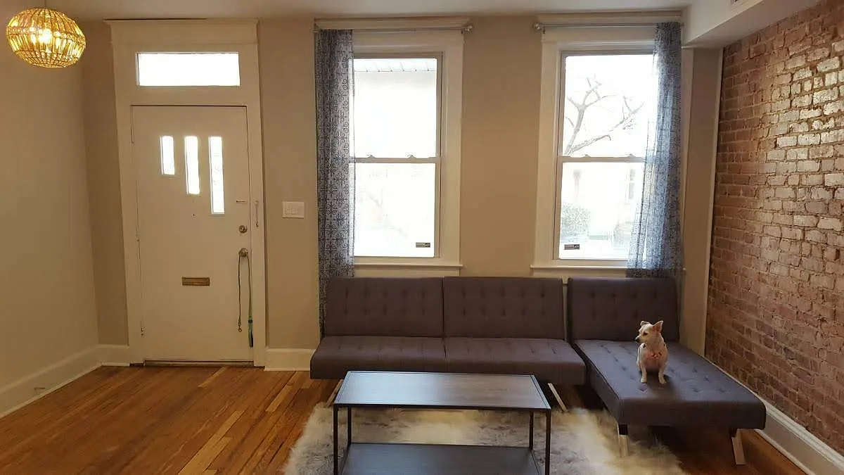 1 bed, $995 — Photo 2