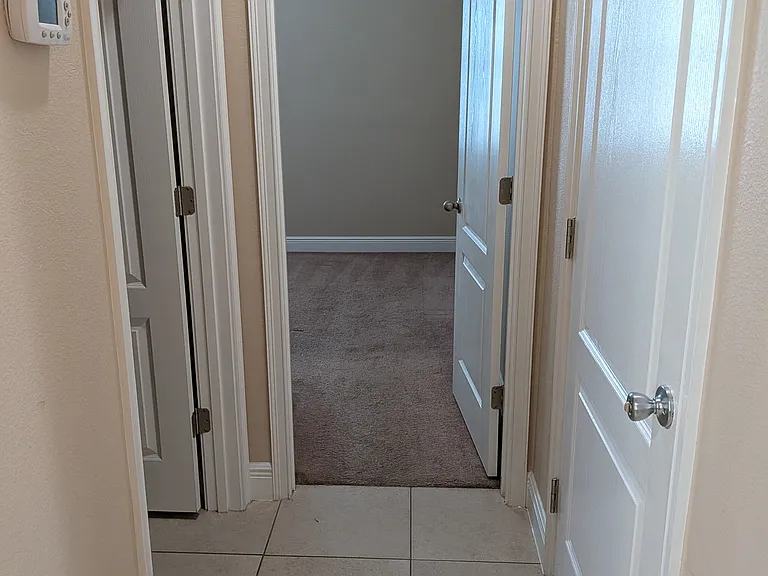 11517 Quiet Forest Dr — Photo 48