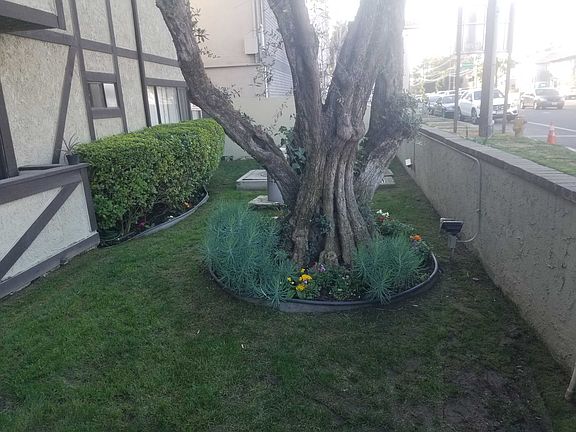 3rd image of 11028 Moorpark St #221