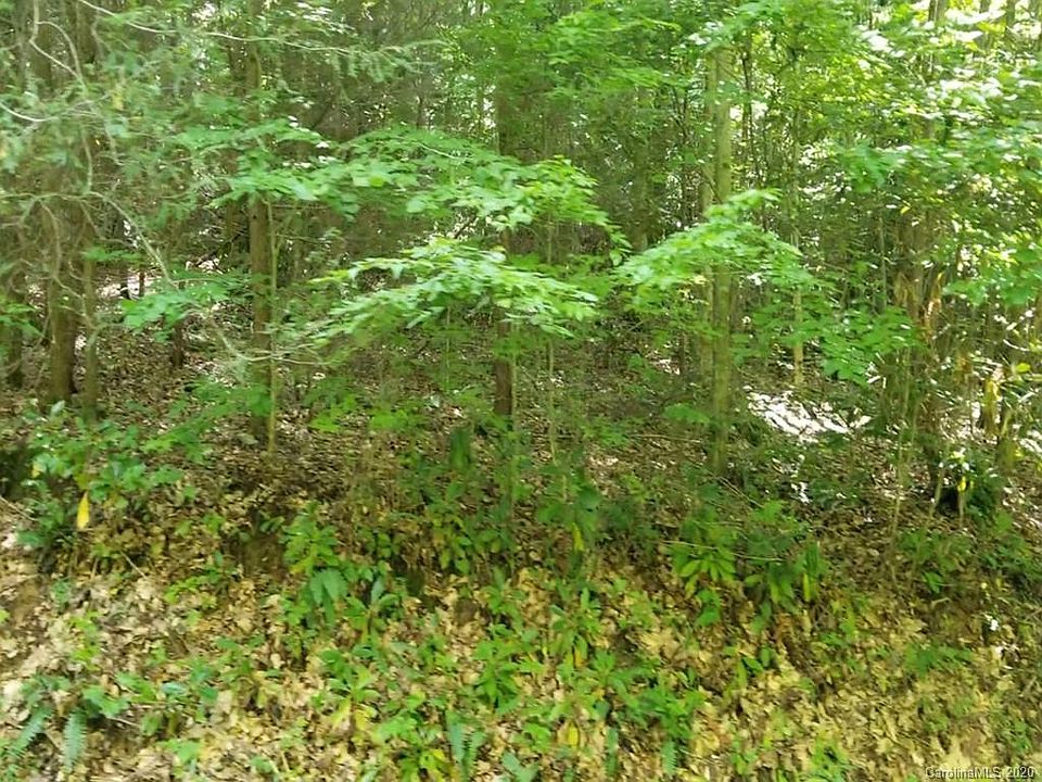 1st image of 51 Cabin Creek Trl