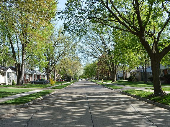 Peaceful Tree Lined Street
