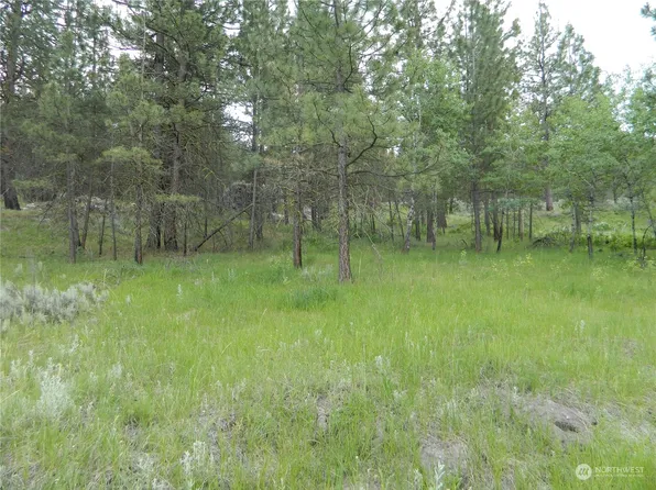 111 TBD Talkire Lake Road, Tonasket, WA 98855