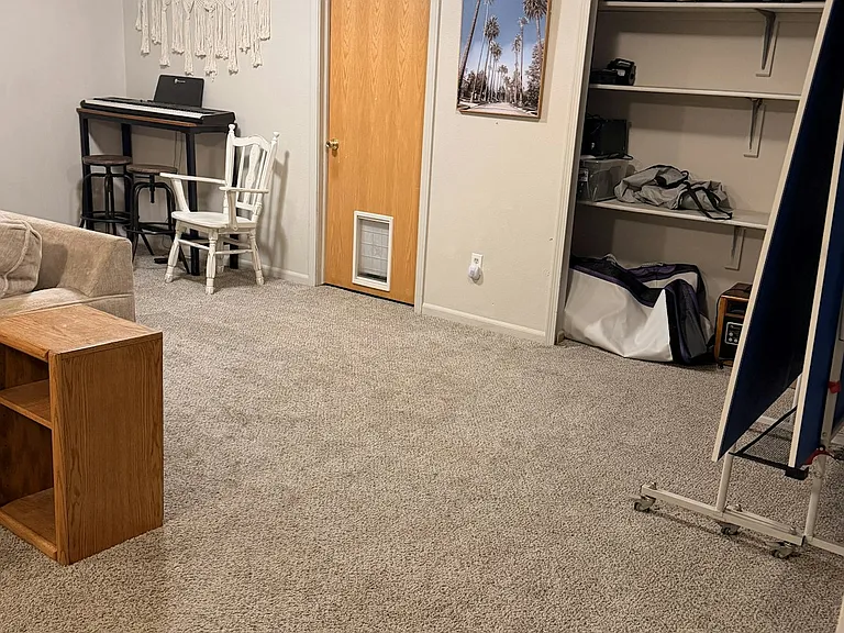 Basement living room