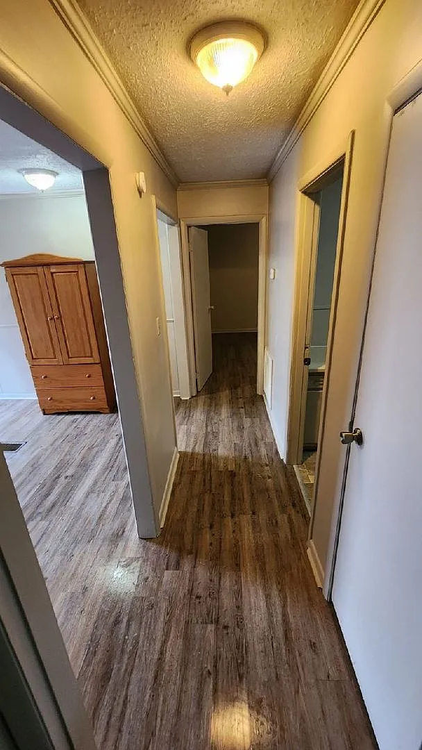 Monthly Paid Rent — Photo 1