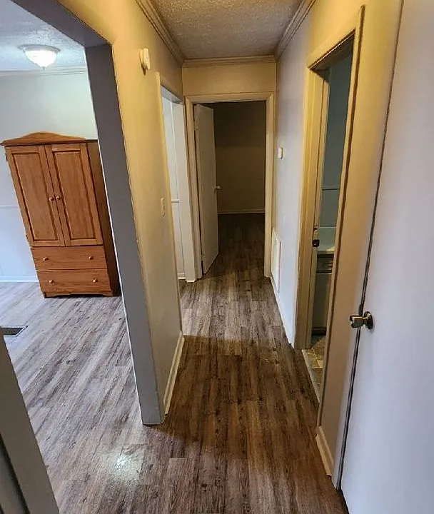 Monthly Paid Rent