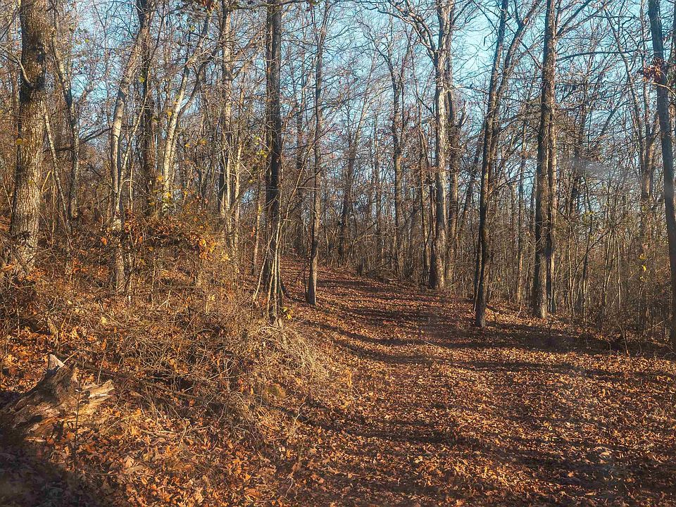 10th image of this home