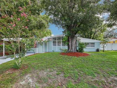 917 Lakewood Ave, Tampa, FL, 33613