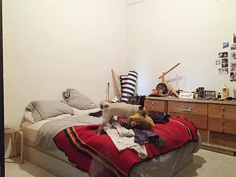 Rented by In Haus LLC