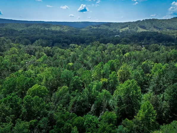 00A W Glazypeau Rd, Mountain Pine, AR 71956