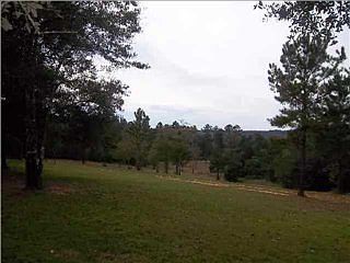2nd image of 11050 Kidd Rd