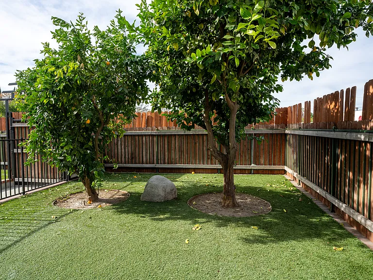 6734 Tampa Ave — Photo 4