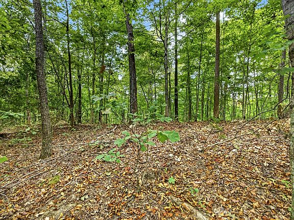 2nd image of 0 Timber Ridge Ln Lot 28&29