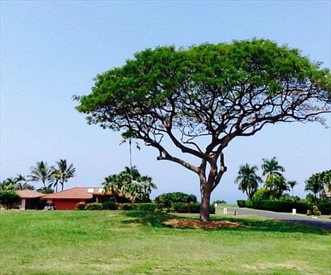 1st image of LOT 23 Kailua