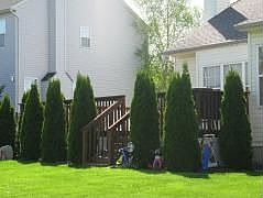 4th image of 1148 Monroe Dr