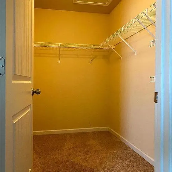 3110 Boxwood Xing — Photo 11