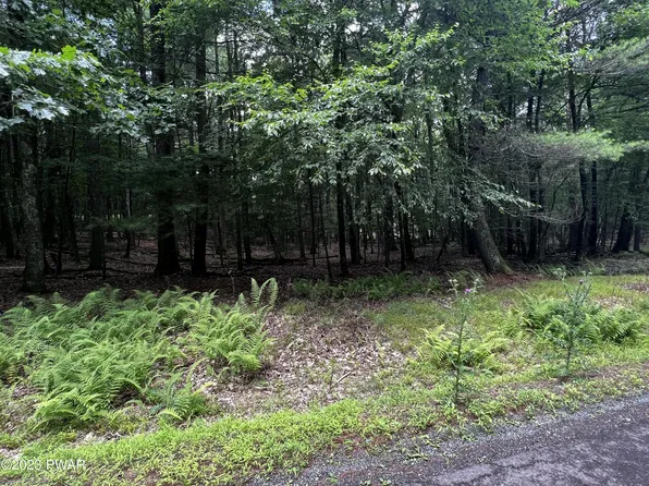 923 Gunstock Ln, Tafton, PA 18464