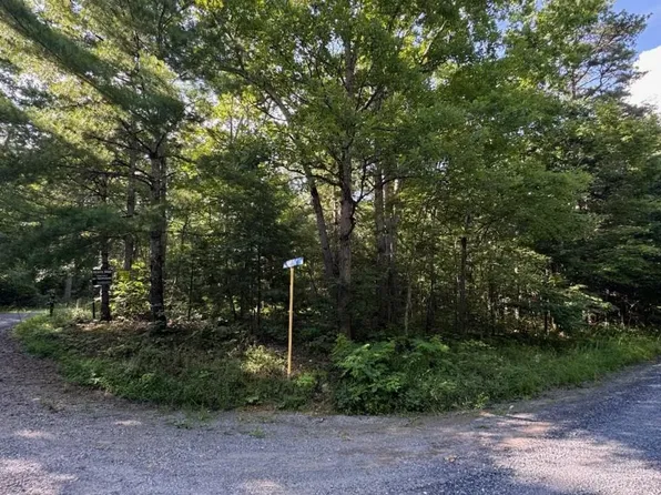 Mine Mountain Ln Lot 241, Fort Valley, VA 22652
