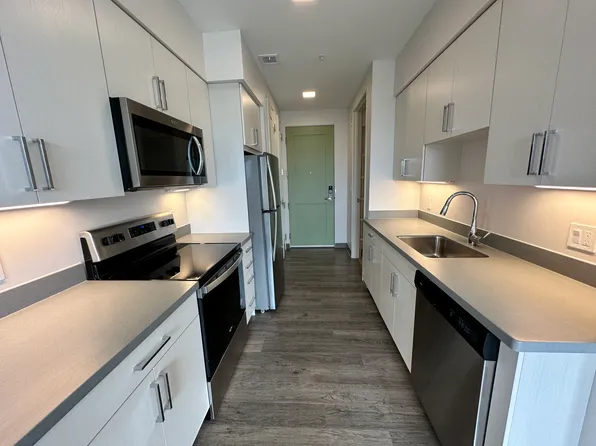 Red Oak at 409 Elm Street