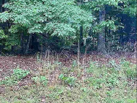 5th image of 4200 W Thrush Dr