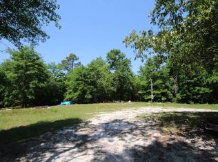 566 Tindal Rd, Pelion, SC 29123