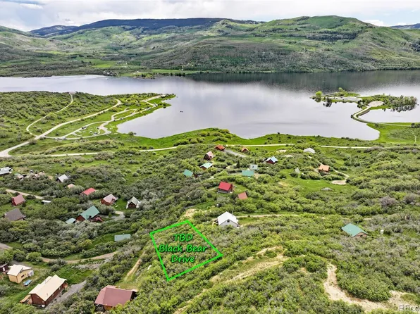 000 Black Bear Drive, Collbran, CO 81624