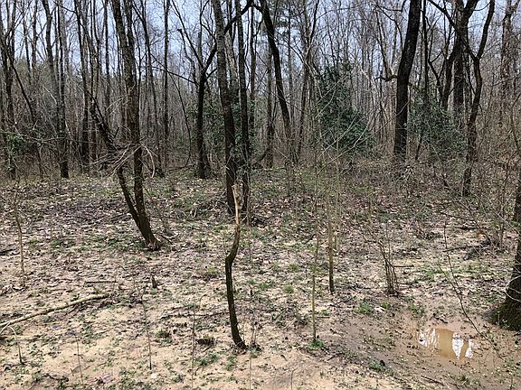 4th image of 0 Millstone Ln