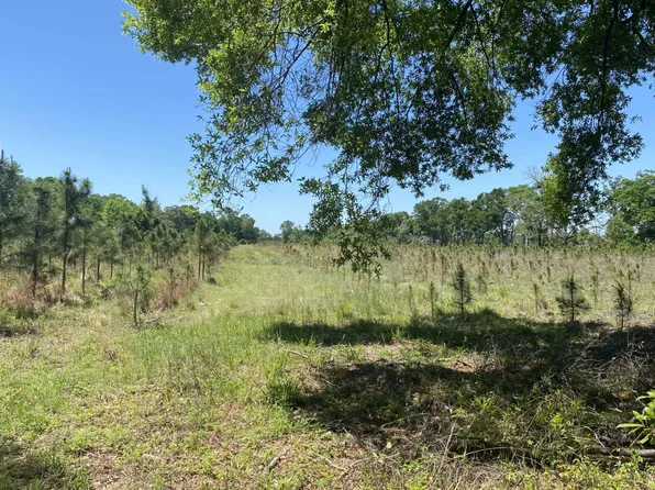 0 County Road 49, Branford, FL 32008