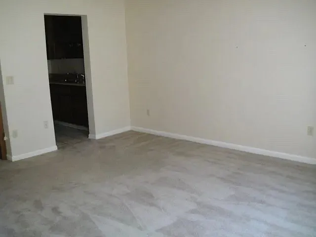 3721 Donovan Dr — Photo 6