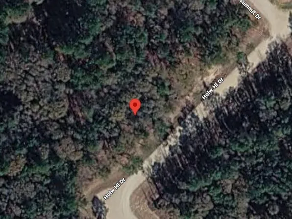 159 Hollow Hill Dr, New Waverly, TX 77358