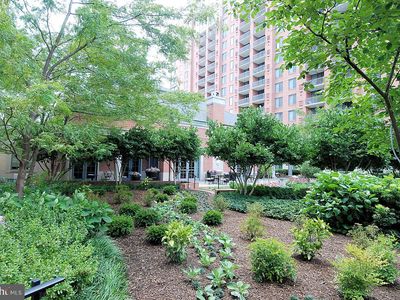 11710 Old Georgetown Rd APT 323, North Bethesda, MD, 20852
