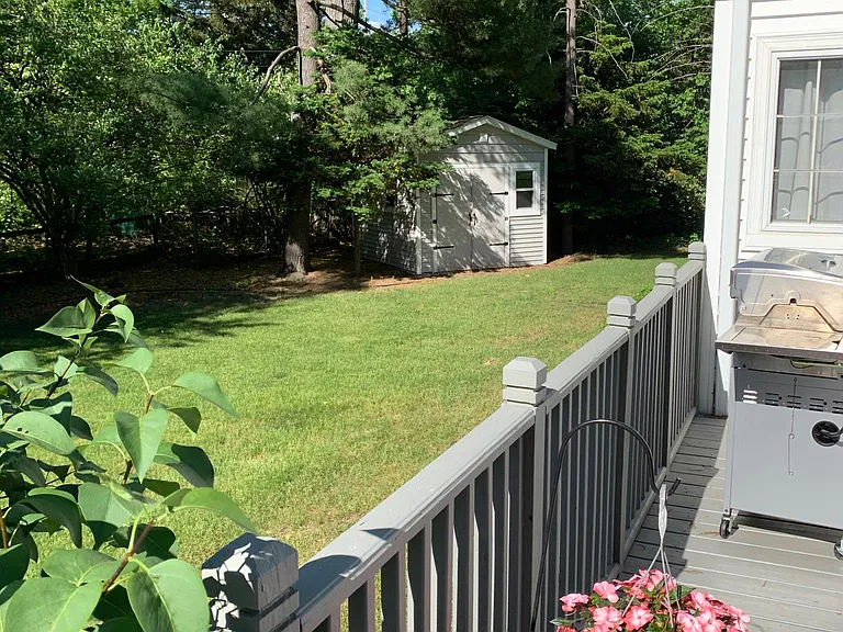 Backyard and shed