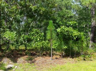 LOT 183 183 Royal Tern Dr, Hampstead, NC 28443