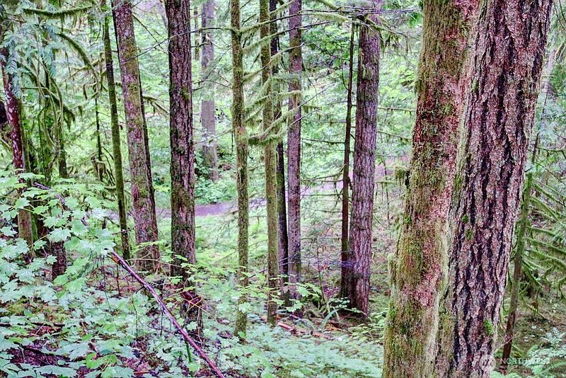 3rd image of 17 Schinn Canyon Circle