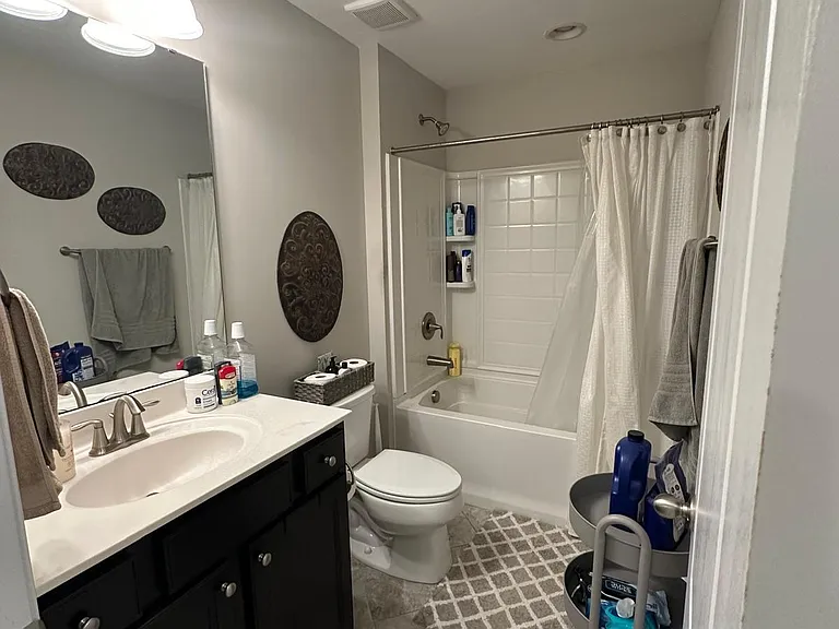 124 Spring Pine Ln — Photo 14