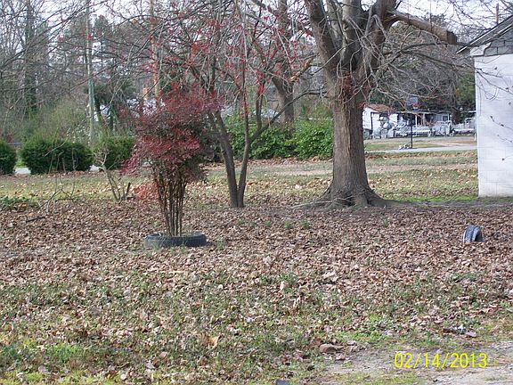 Greenwood side yard